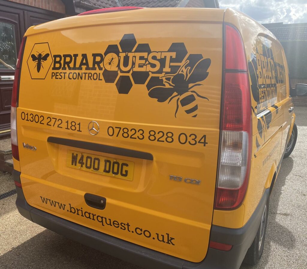 Commercial van for Briarquest